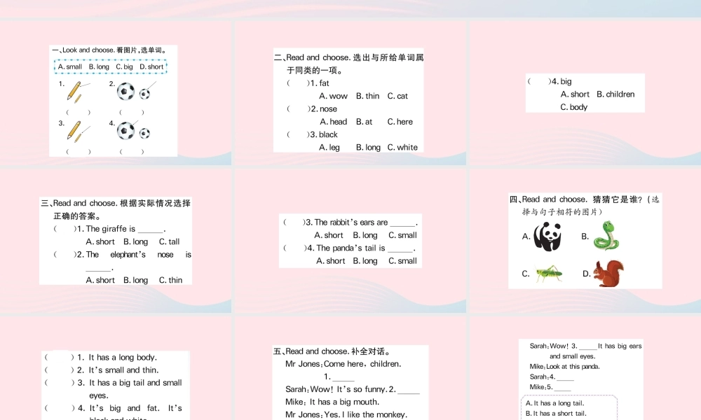三年级英语下册 Unit 3 At the zoo Part B作业课件 人教PEP版-人教PEP小学三年级下册英语课件