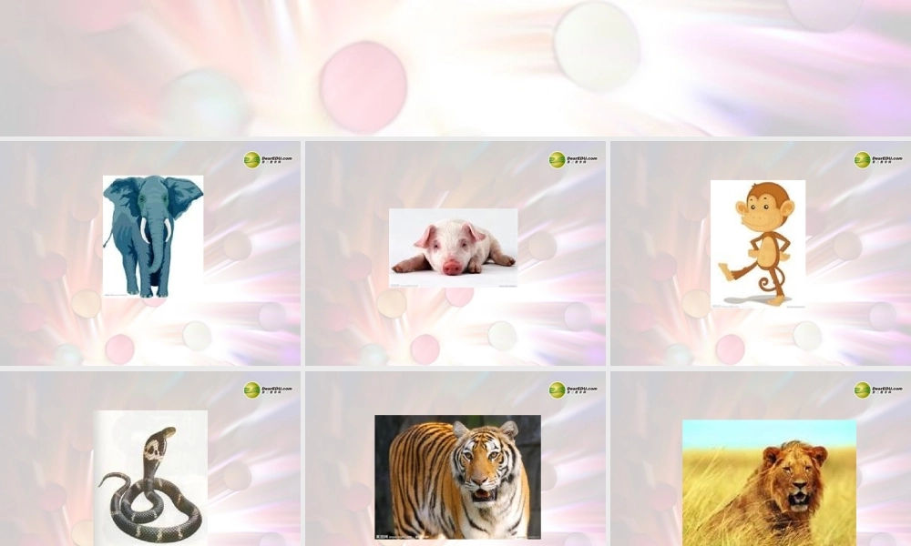 三年级英语下册 Unit4 Where is my car第一课时课件 人教PEP（标准版）