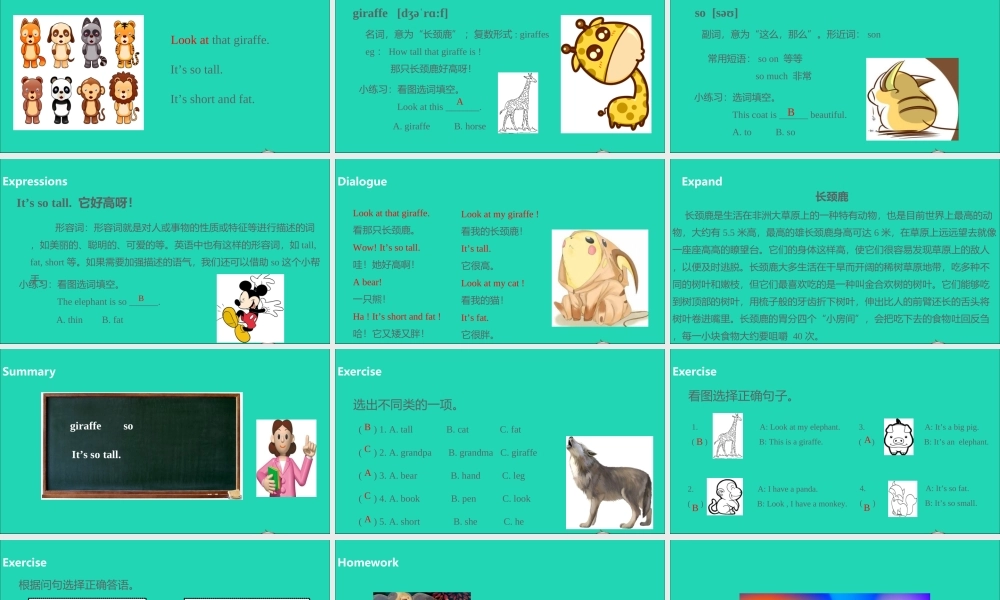 三年级英语下册 Unit 3 At the zoo（第1课时）课件 人教PEP版-人教PEP小学三年级下册英语课件