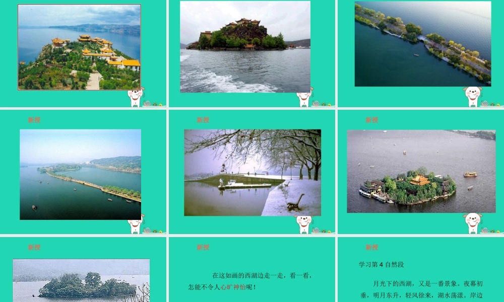 三年级语文上册 第2单元 6西湖（第2课时）课件 苏教版-苏教版小学三年级上册语文课件