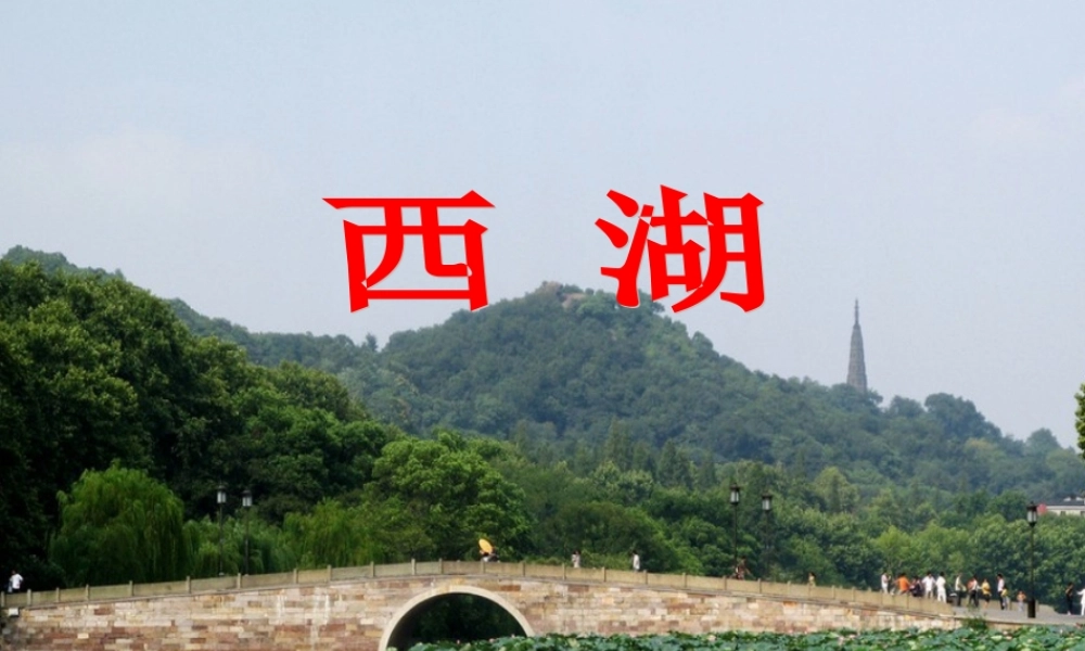 三年级语文上册 第2单元 6西湖课件 苏教版-苏教版小学三年级上册语文课件