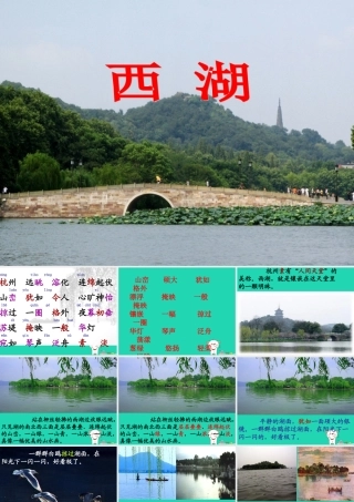 三年级语文上册 第2单元 6西湖课件 苏教版-苏教版小学三年级上册语文课件