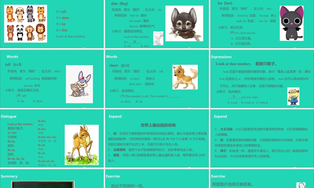 三年级英语下册 Unit 3 At the zoo（第2课时）课件 人教PEP版-人教PEP小学三年级下册英语课件