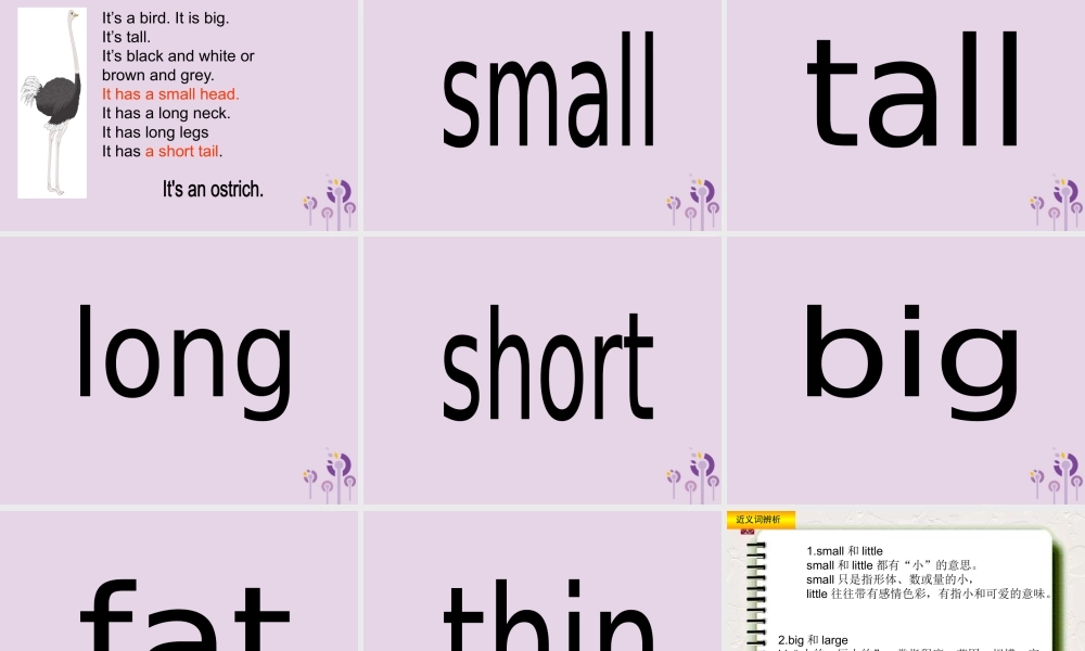 三年级英语下册 Unit 3 At the zoo（第5课时）课件 人教PEP版-人教PEP小学三年级下册英语课件