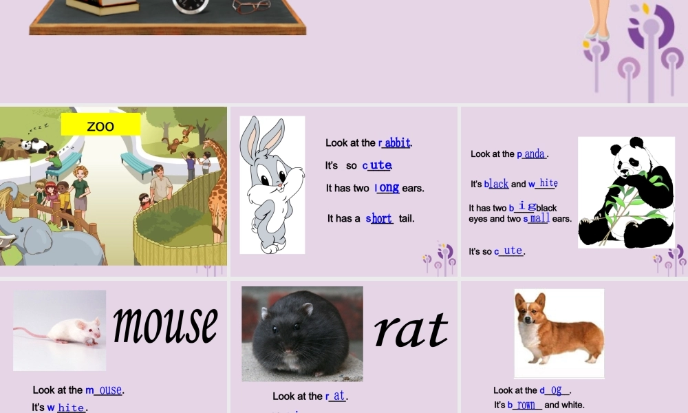 三年级英语下册 Unit 3 At the zoo（第6课时）课件 人教PEP版-人教PEP小学三年级下册英语课件