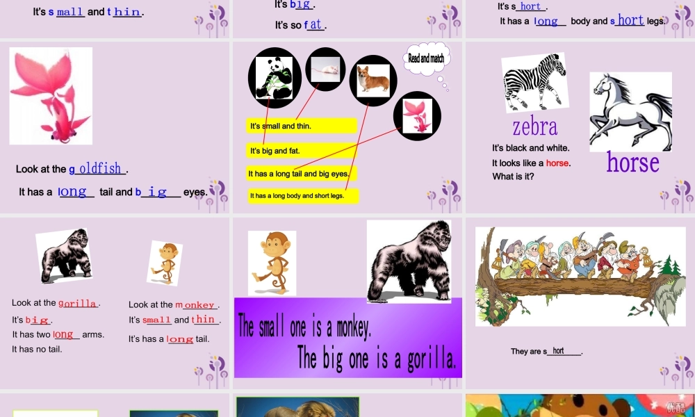 三年级英语下册 Unit 3 At the zoo（第6课时）课件 人教PEP版-人教PEP小学三年级下册英语课件