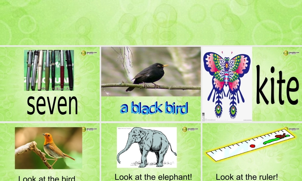 三年级英语下册 Unit6 How many第一课时课件 人教PEP（标准版）