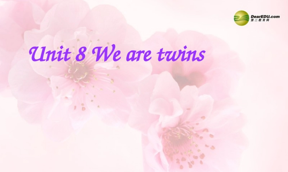 三年级英语下册 Unit8 第三课时课件 牛津译林版