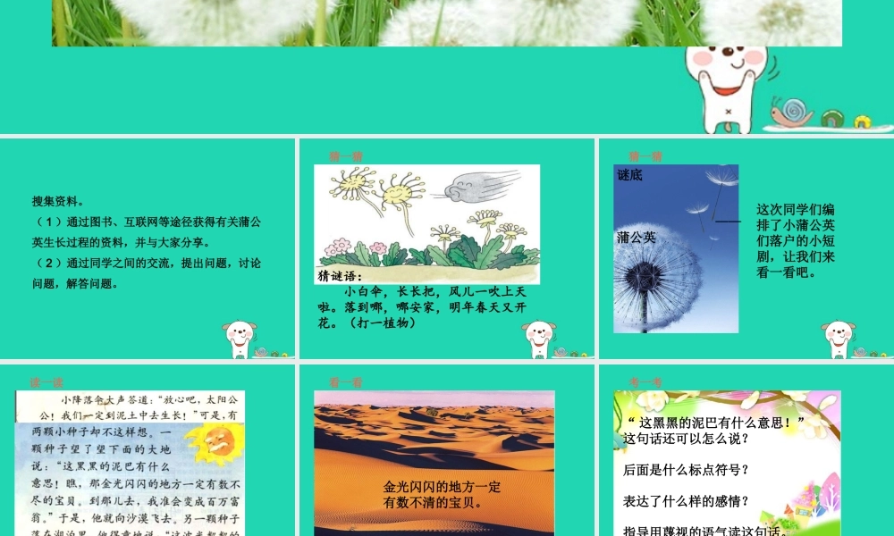 三年级语文上册 第3单元 8蒲公英（第2课时）课件 苏教版-苏教版小学三年级上册语文课件