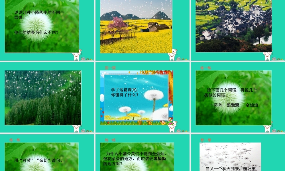 三年级语文上册 第3单元 8蒲公英（第2课时）课件 苏教版-苏教版小学三年级上册语文课件