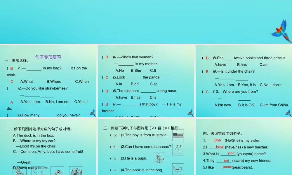 三年级英语下册 句子专项复习习题课件 人教PEP版-人教PEP小学三年级下册英语课件