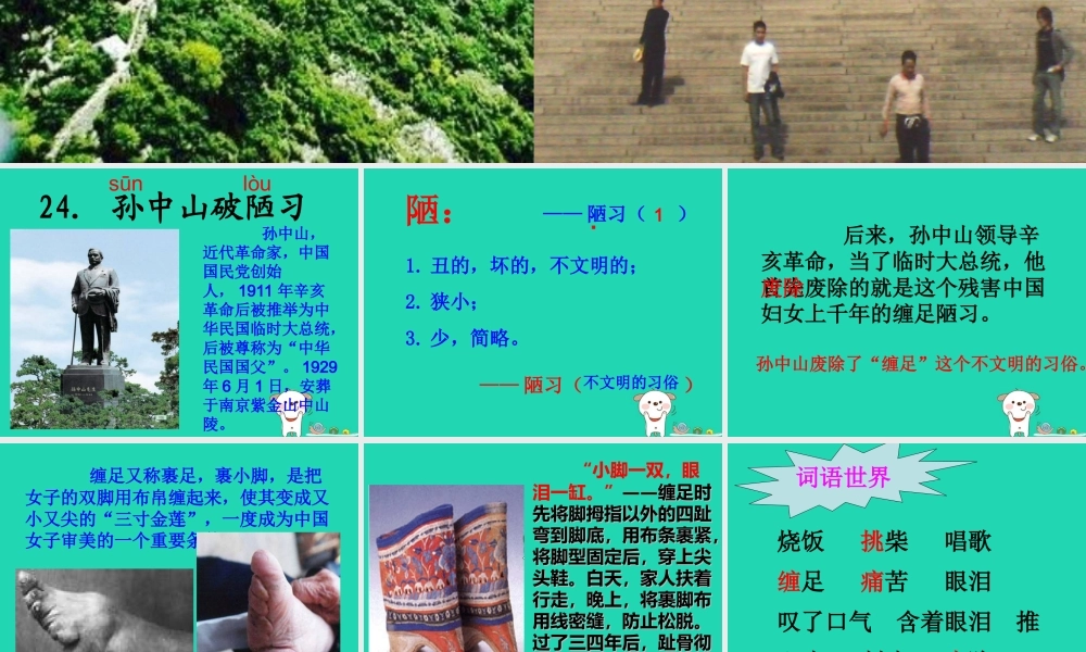 三年级语文上册 第8单元 24 孙中山破陋习课件 苏教版-苏教版小学三年级上册语文课件