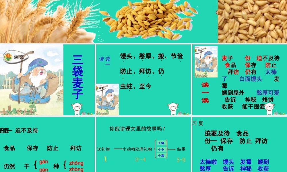 三年级语文上册 第3单元 9三袋麦子课件 苏教版-苏教版小学三年级上册语文课件