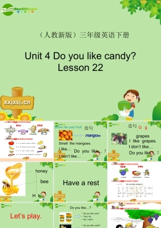 三年级英语下册 Unit 4 Lesson 22课件 新人教版