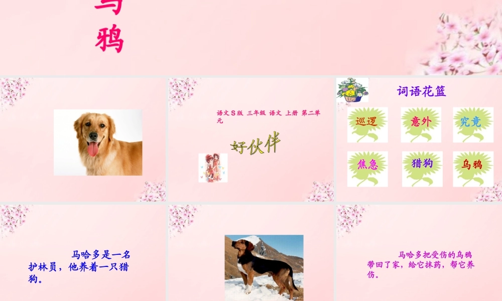 三年级语文上册 第8课 好伙伴课件1 语文S版