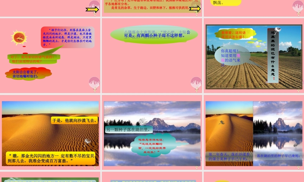 三年级语文上册 第8课 蒲公英课件 苏教版-苏教版小学三年级上册语文课件