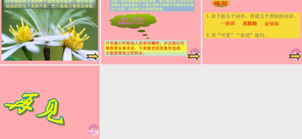 三年级语文上册 第8课 蒲公英课件 苏教版-苏教版小学三年级上册语文课件