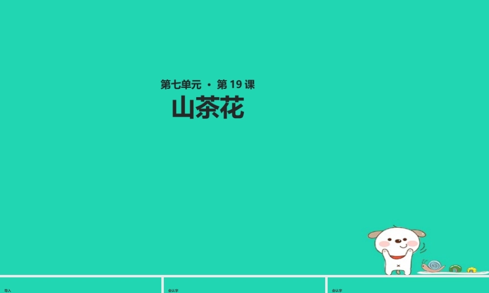 三年级语文上册 第七单元 19山茶花教学课件 鄂教版-鄂教版小学三年级上册语文课件