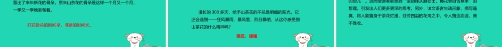 三年级语文上册 第七单元 19山茶花教学课件 鄂教版-鄂教版小学三年级上册语文课件