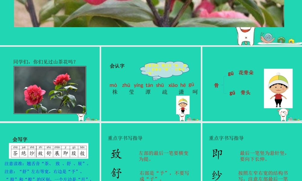 三年级语文上册 第七单元 19山茶花课件 鄂教版-鄂教版小学三年级上册语文课件