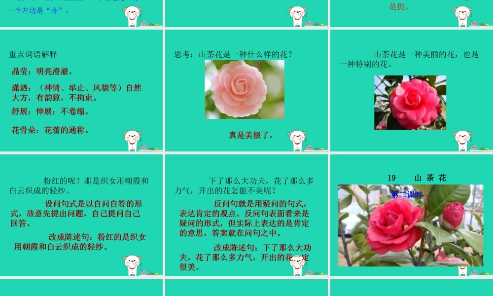 三年级语文上册 第七单元 19山茶花课件 鄂教版-鄂教版小学三年级上册语文课件