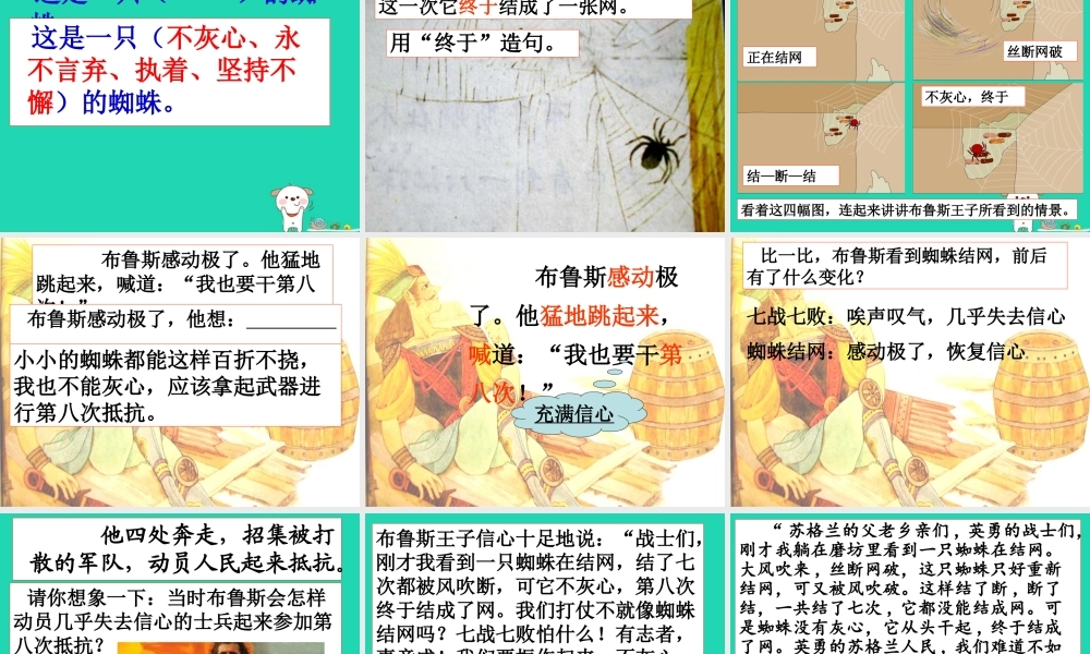 三年级语文上册 第4单元 11 第八次课件 苏教版-苏教版小学三年级上册语文课件