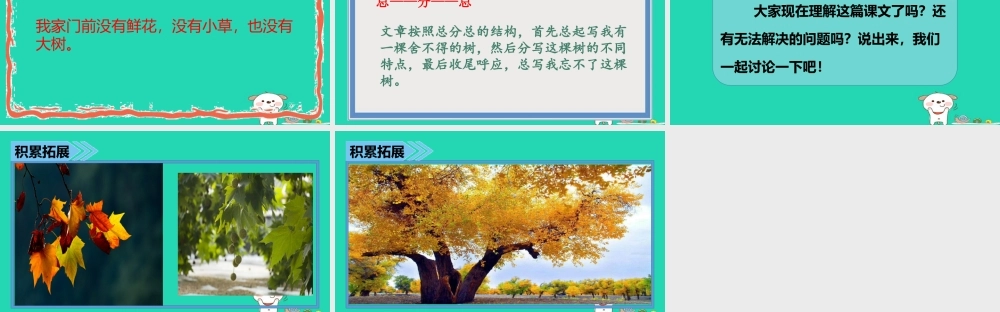 三年级语文上册 第七单元 24 舍不得这棵树课件 湘教版