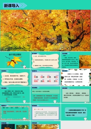 三年级语文上册 第七单元 24 舍不得这棵树课件 湘教版