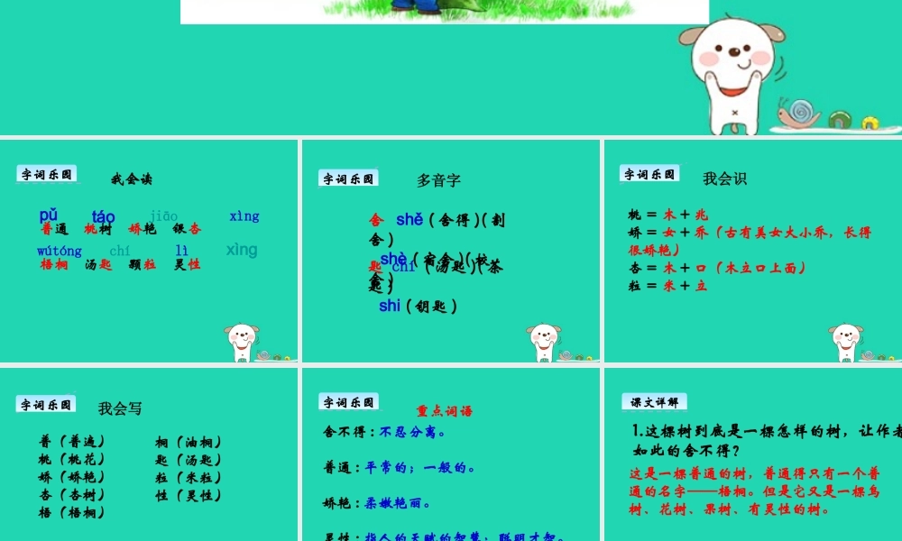 三年级语文上册 第七单元 24 舍不得这棵树课件 湘教版-湘教版小学三年级上册语文课件
