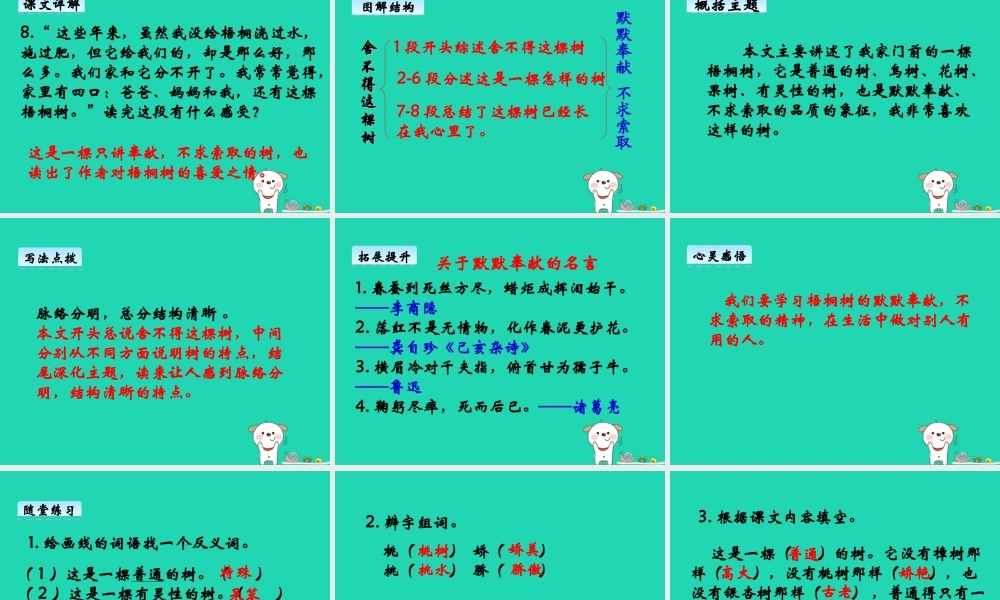 三年级语文上册 第七单元 24 舍不得这棵树课件 湘教版-湘教版小学三年级上册语文课件