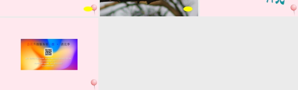 三年级语文上册 第七单元 25《翠鸟》同步教学课件 鲁教版-鲁教版小学三年级上册语文课件