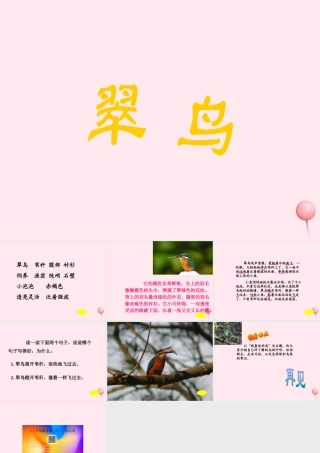 三年级语文上册 第七单元 25《翠鸟》同步教学课件 鲁教版-鲁教版小学三年级上册语文课件