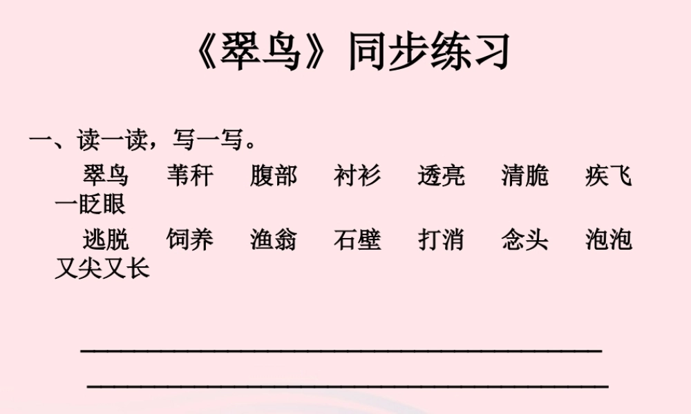 三年级语文上册 第七单元 25《翠鸟》习题课件 鲁教版-鲁教版小学三年级上册语文课件