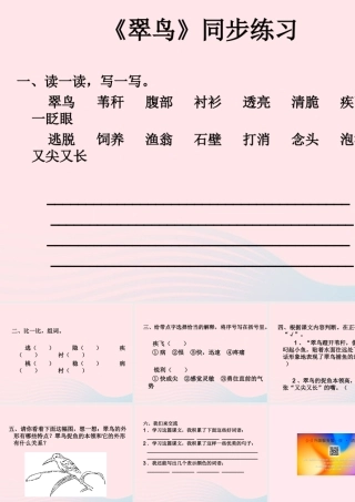 三年级语文上册 第七单元 25《翠鸟》习题课件 鲁教版-鲁教版小学三年级上册语文课件