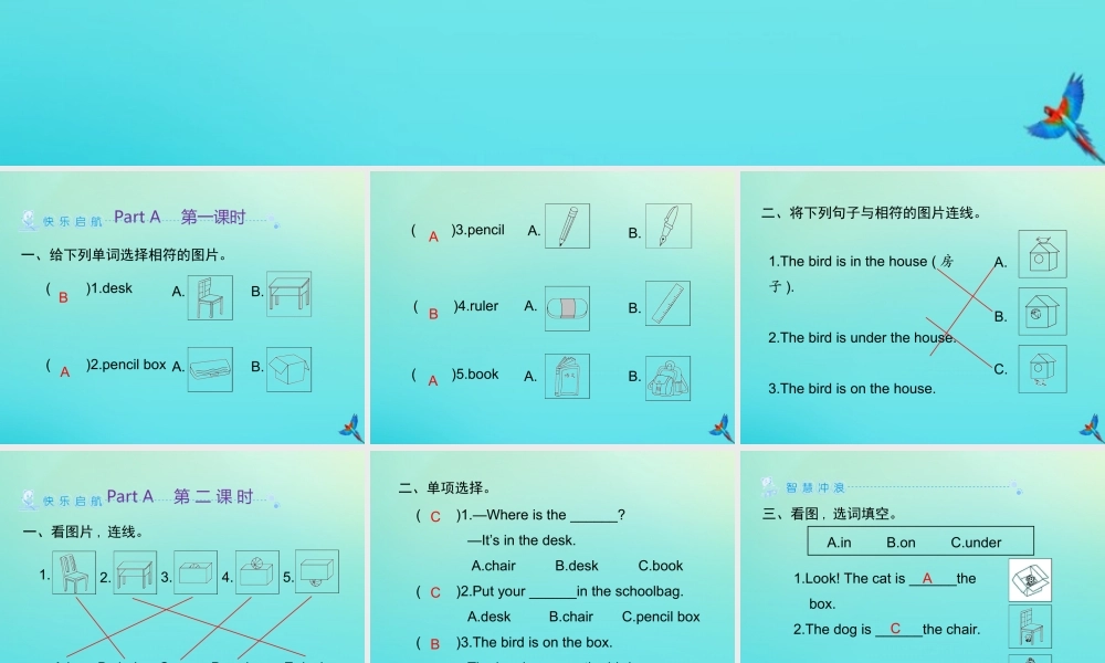 三年级英语下册 Unit 4 Where is my car Part A习题课件 人教PEP版-人教PEP小学三年级下册英语课件