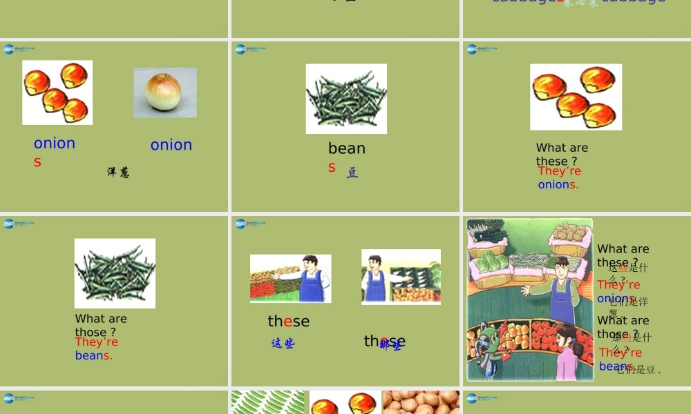 三年级英语下册《Unit 8 At the market》课件1 深港朗文版