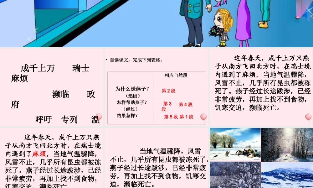 三年级语文上册 第七单元 26《燕子专列》课件 鲁教版-鲁教版小学三年级上册语文课件