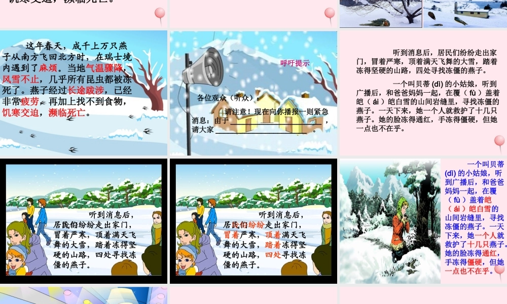 三年级语文上册 第七单元 26《燕子专列》课件 鲁教版-鲁教版小学三年级上册语文课件