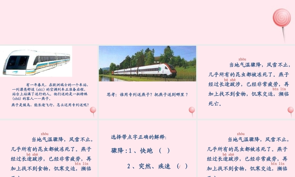 三年级语文上册 第七单元 26《燕子专列》配套课件 鲁教版-鲁教版小学三年级上册语文课件