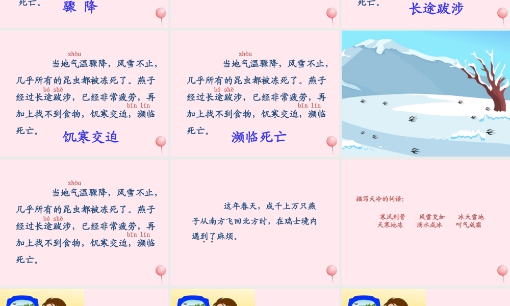 三年级语文上册 第七单元 26《燕子专列》配套课件 鲁教版-鲁教版小学三年级上册语文课件