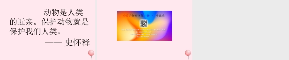 三年级语文上册 第七单元 26《燕子专列》同步优秀课件 鲁教版-鲁教版小学三年级上册语文课件