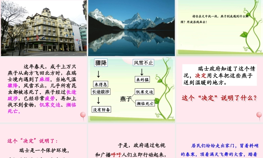 三年级语文上册 第七单元 26《燕子专列》优培课件 鲁教版-鲁教版小学三年级上册语文课件