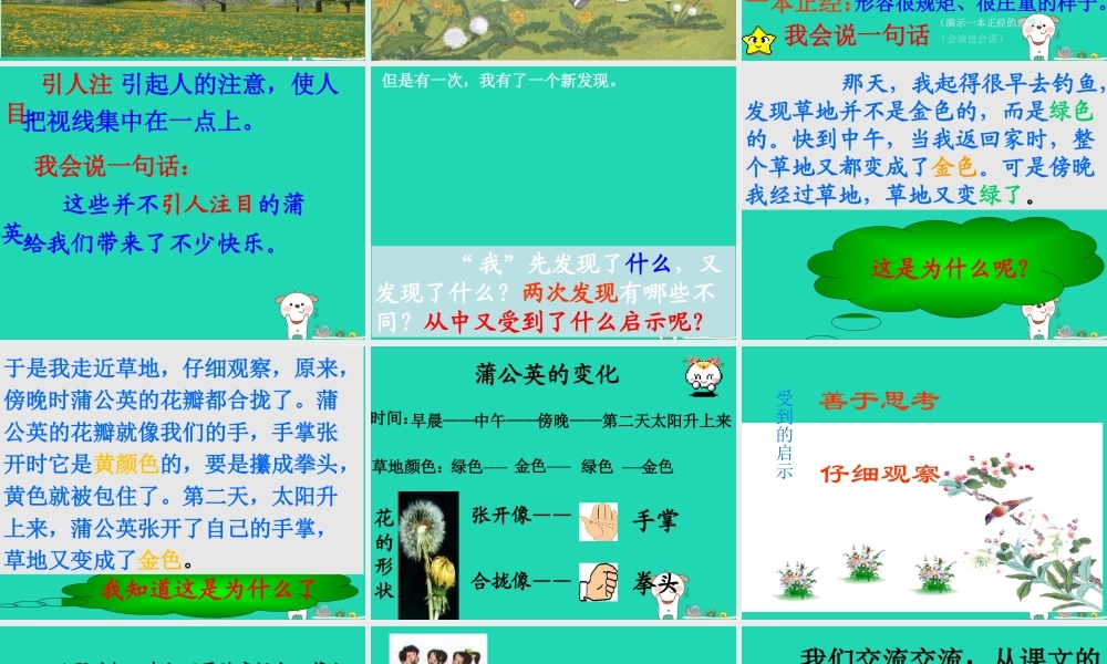 三年级语文上册 1 色彩《金色的草地》课件 北师大版