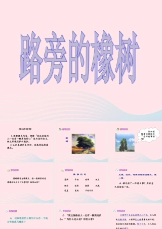三年级语文上册 第七单元 28《路旁的橡树》培优课件 鲁教版-鲁教版小学三年级上册语文课件