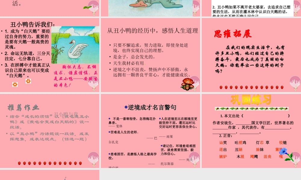 三年级语文上册 第七单元 丑小鸭课件4 湘教版-湘教版小学三年级上册语文课件