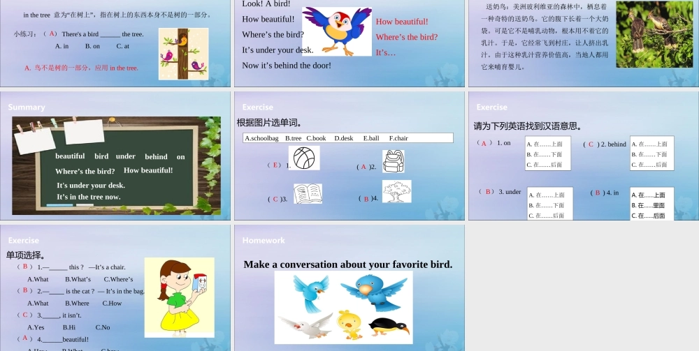 三年级英语下册 Unit 4 Where’s the bird（第1课时）课件 牛津版-牛津版小学三年级下册英语课件