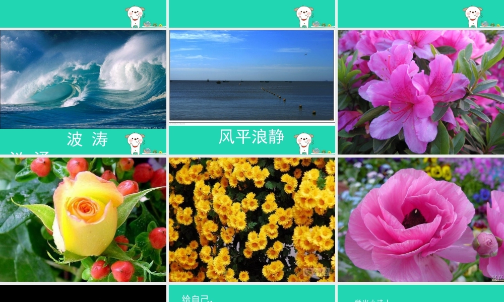 三年级语文上册 第一单元 1 信课件3 鄂教版-鄂教版小学三年级上册语文课件