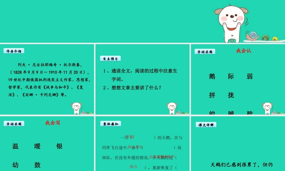 三年级语文上册 第七单元 课件 鄂教版