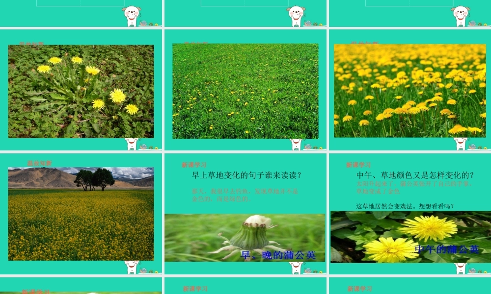 三年级语文上册 1《色彩》金色的草地（第2课时）课件 北师大版-北师大版小学三年级上册语文课件