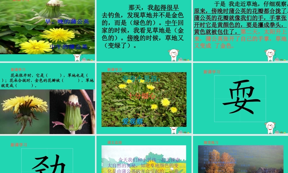 三年级语文上册 1《色彩》金色的草地（第2课时）课件 北师大版-北师大版小学三年级上册语文课件
